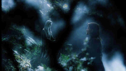 The Lord of the Rings: The Fellowship of the Ring (2001) Starring Alan Howard on DVD - Image 4