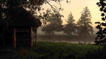 The Lost World of Mr. Hardy (2008) Starring on DVD - Image 3