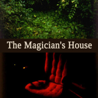 The Magician's House (2007) DVD