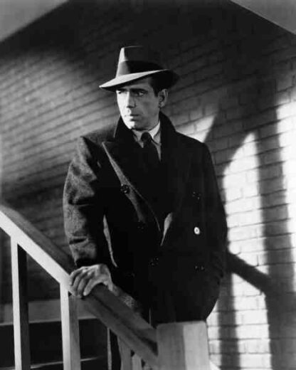 The Maltese Falcon (1941) Starring Humphrey Bogart on DVD