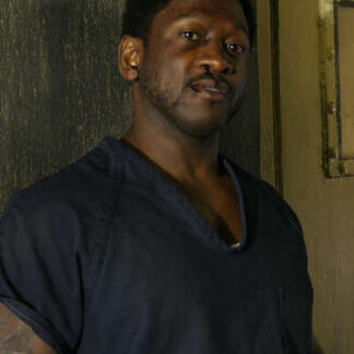 The Mannsfield 12 (2007) Starring Aaron D. Spears on DVD