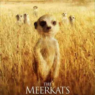 The Meerkats (2008) Starring Paul Newman on DVD