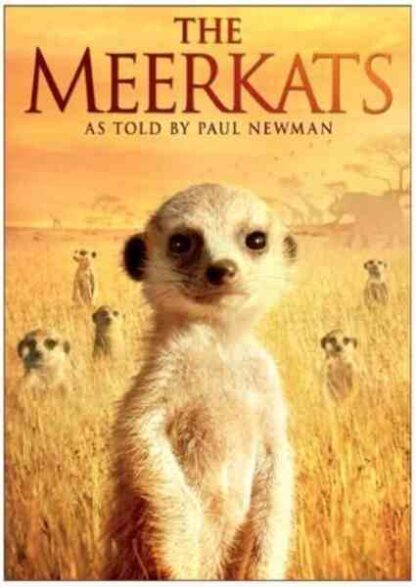 The Meerkats (2008) Starring Paul Newman on DVD - Image 2