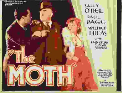 The Moth (1934) Starring Sally O'Neil on DVD - Image 5