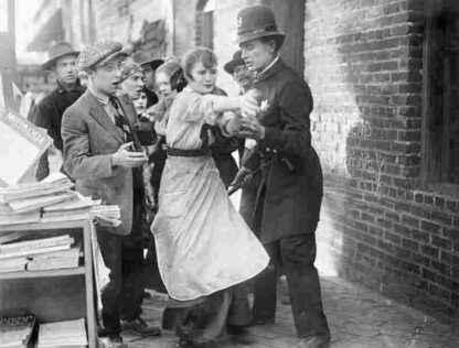 The Mother and the Law (1919) with English Subtitles on DVD - Image 2