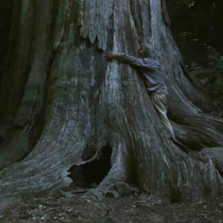 The Mourning Forest (2007) with English Subtitles on DVD