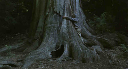 The Mourning Forest (2007) with English Subtitles on DVD