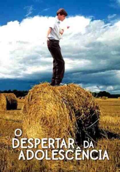 The Mudge Boy (2003) Starring Emile Hirsch on DVD - Image 4