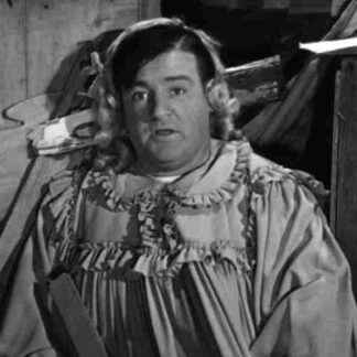 The Naughty Nineties (1945) Starring Bud Abbott on DVD
