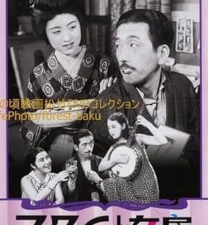The Neighbor's Wife and Mine (1931) DVD