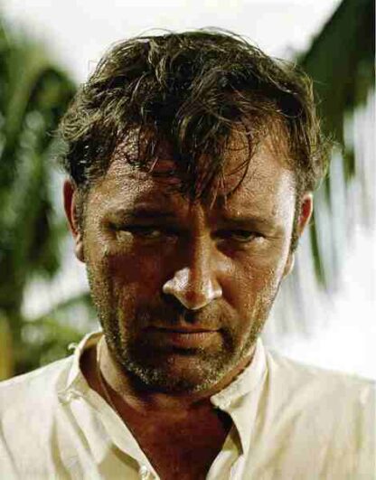 The Night of the Iguana (1964) Starring Richard Burton on DVD - Image 2
