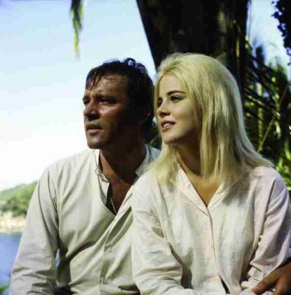The Night of the Iguana (1964) Starring Richard Burton on DVD - Image 3