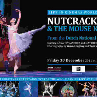 The Nutcracker and the Mouse King (2011) Starring Anna Tysgankova on DVD
