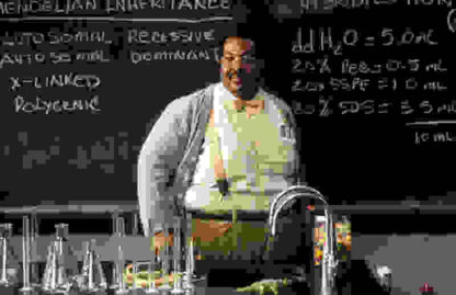 The Nutty Professor (1996) Starring Eddie Murphy on DVD - Image 2