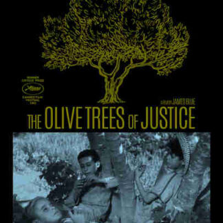 The Olive Trees of Justice (1962) with English Subtitles on DVD