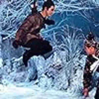 The One Armed Swordsmen (1976) with English Subtitles on DVD - Image 3