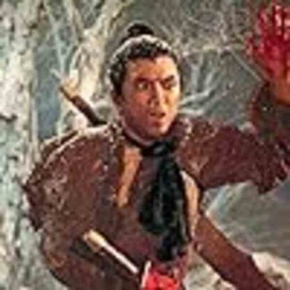 The One Armed Swordsmen (1976) with English Subtitles on DVD - Image 4