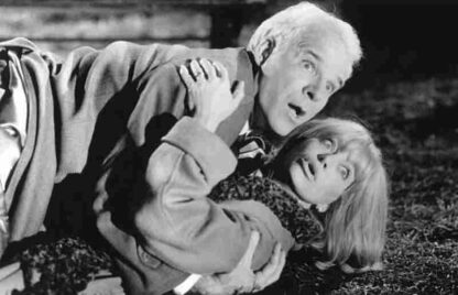 The Out-of-Towners (1999) Starring Steve Martin on DVD - Image 3
