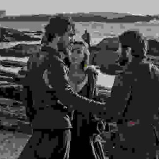 The Outlaw (2010) with English Subtitles on DVD