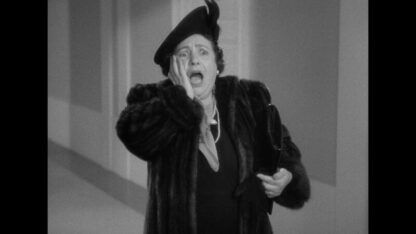 The Palm Beach Story (1942) Starring Claudette Colbert on DVD - Image 4