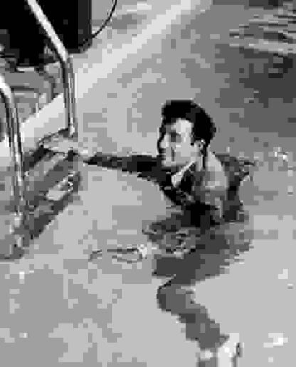 The Party (1968) Starring Peter Sellers on DVD - Image 2