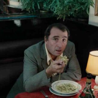 The Party (1980) with English Subtitles on DVD
