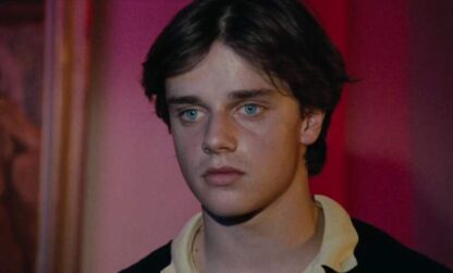 The Party (1980) with English Subtitles on DVD - Image 3