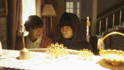 The Peach Tree (2011) with English Subtitles on DVD - Image 3