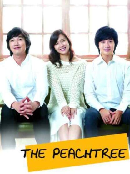 The Peach Tree (2011) with English Subtitles on DVD - Image 5