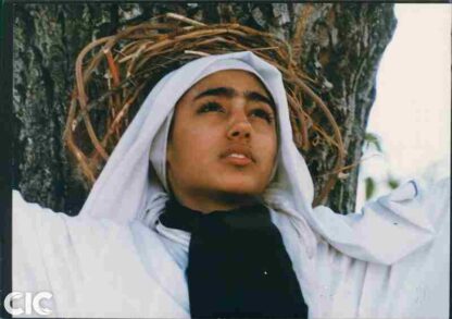 The Pear Tree (1998) with English Subtitles on DVD - Image 3