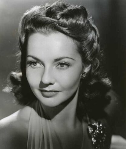 The Perfect Snob (1941) Starring Lynn Bari on DVD - Image 4