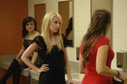 The Perfect Teacher (2010) Starring Megan Park on DVD - Image 2