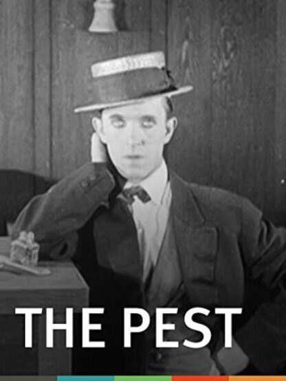 The Pest (1922) Starring Stan Laurel on DVD - Image 5