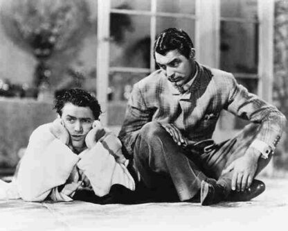 The Philadelphia Story (1940) Starring Cary Grant on DVD - Image 2
