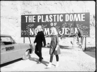 The Plastic Dome of Norma Jean (1966) Starring Sharon Henesy on DVD - Image 3