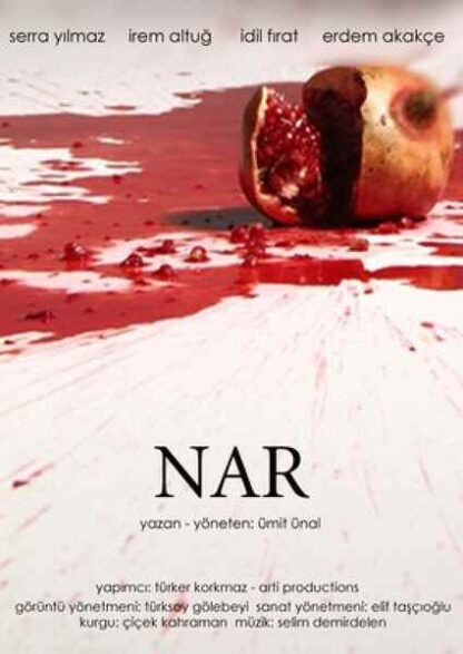 The Pomegranate (2011) with English Subtitles on DVD - Image 5
