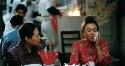 The Postmodern Life of My Aunt (2006) with English Subtitles on DVD - Image 4