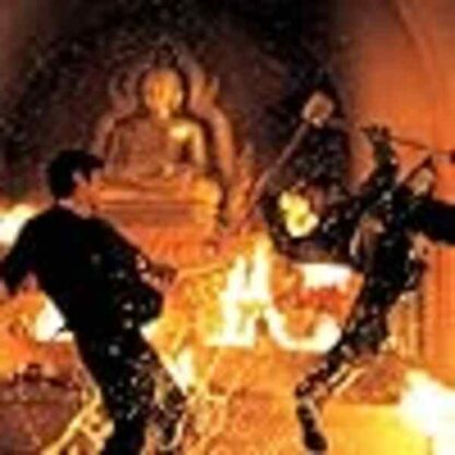 The Protector (2005) with English Subtitles on DVD - Image 4