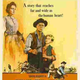 The Proud Rebel (1958) Starring Alan Ladd on DVD