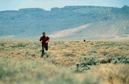 The Quarry (1998) Starring John Lynch on DVD - Image 4