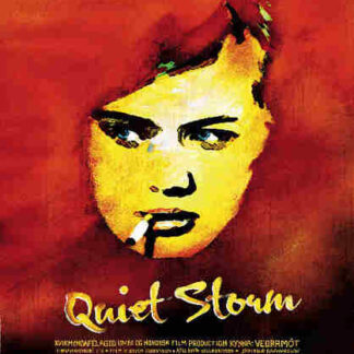 The Quiet Storm (2007) with English Subtitles on DVD