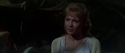 The Rare Breed (1966) Starring James Stewart on DVD - Image 3