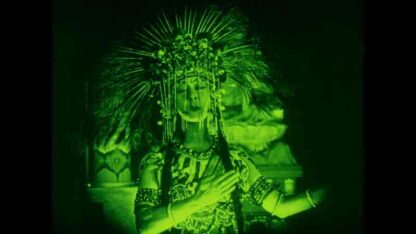 The Red Lantern (1919) Starring Alla Nazimova on DVD - Image 4