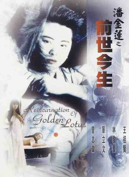 The Reincarnation of Golden Lotus (1989) with English Subtitles on DVD - Image 5