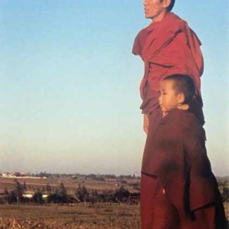 The Reincarnation of Khensur Rinpoche (1992) Starring on DVD