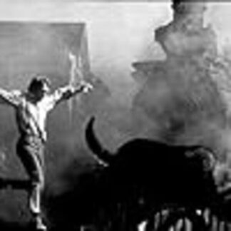 The Reivers (1969) Starring Steve McQueen on DVD