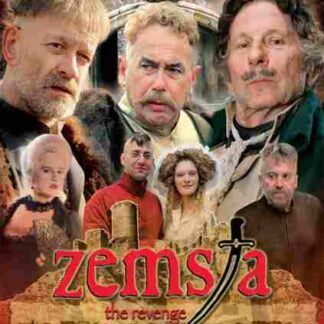 The Revenge (2002) with English Subtitles on DVD