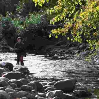 The River Why (2010) Starring Zach Gilford on DVD