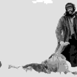 The Road (1982) with English Subtitles on DVD