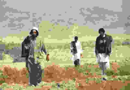 The Road to Guantanamo (2006) Starring Riz Ahmed on DVD - Image 3